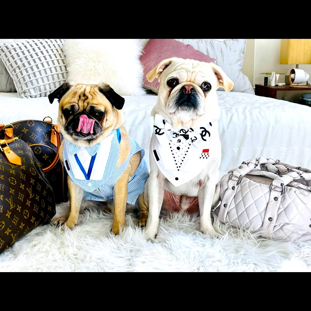 Meet your Posher, Diane